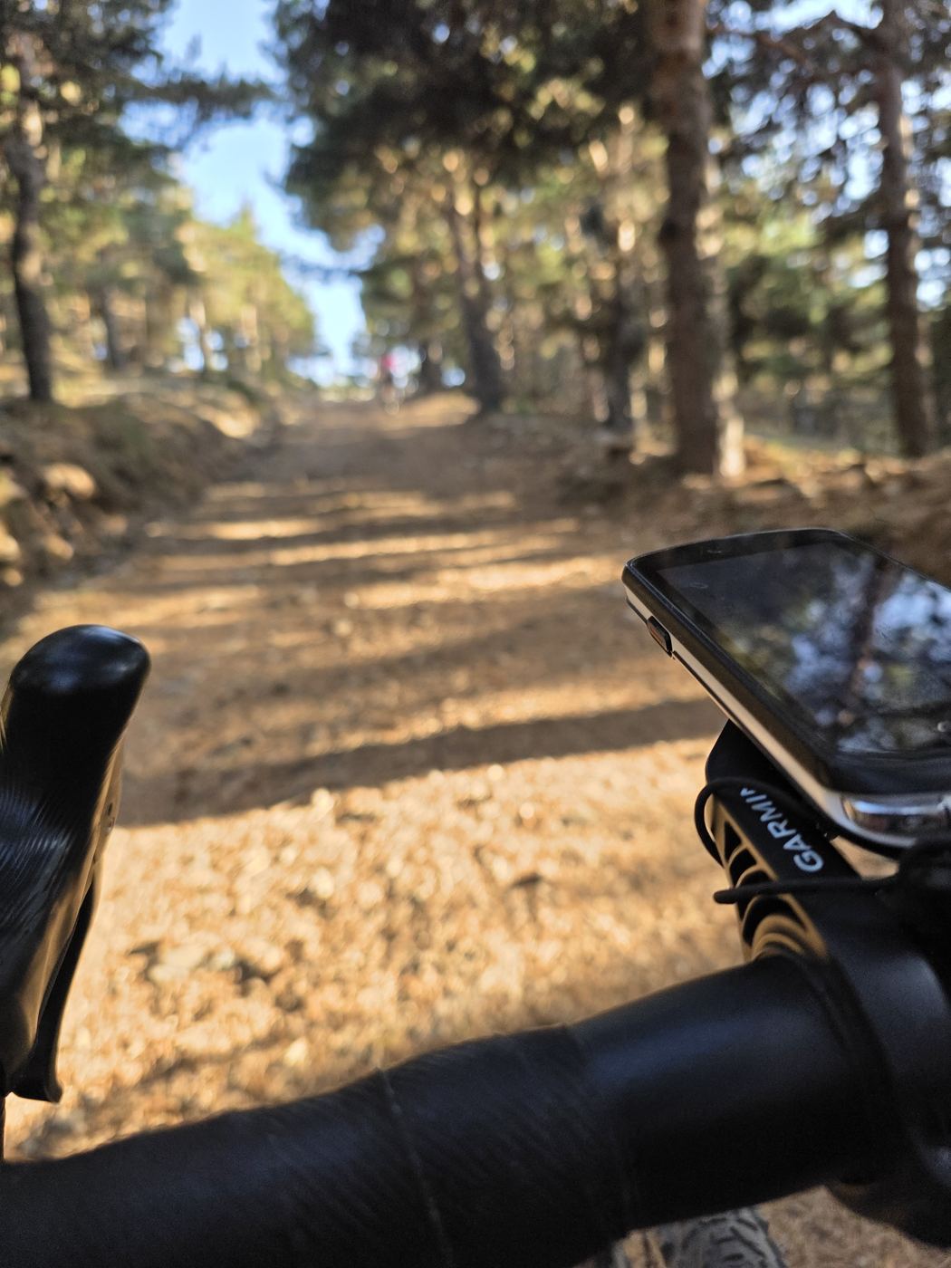 Vista desde el manillar en una pista de gravel entre pinares